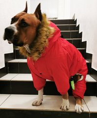 Dobaz RUIS PET Alaska - теплий комбінезон для великих собак - червоний, 5XL % Petmarket