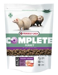 Versele-Laga Complete Ferret - корм для тхорів - 750 г % Petmarket