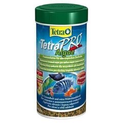 Tetra TETRAPRO Algae - корм-додатковий захист для всіх видів тропічних риб - 10 л % Petmarket