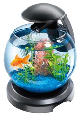 Tetra CASCADE GLOBE - круглий акваріум для риб - Білий % Petmarket